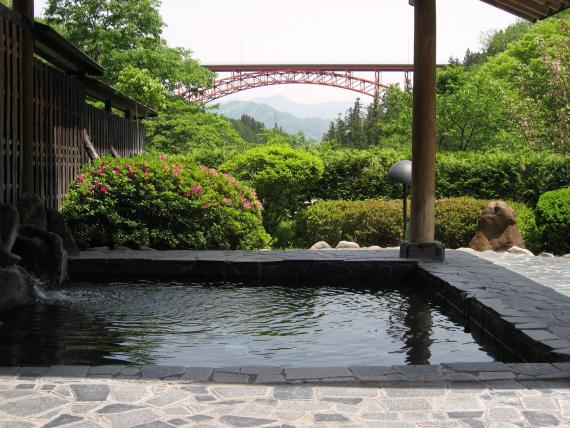 阿南温泉 かじかの湯の物味湯産手形のメイン写真