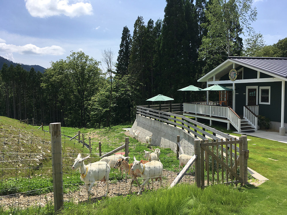 MAUKA LANI GOAT FARMの物味湯産手形のメイン写真