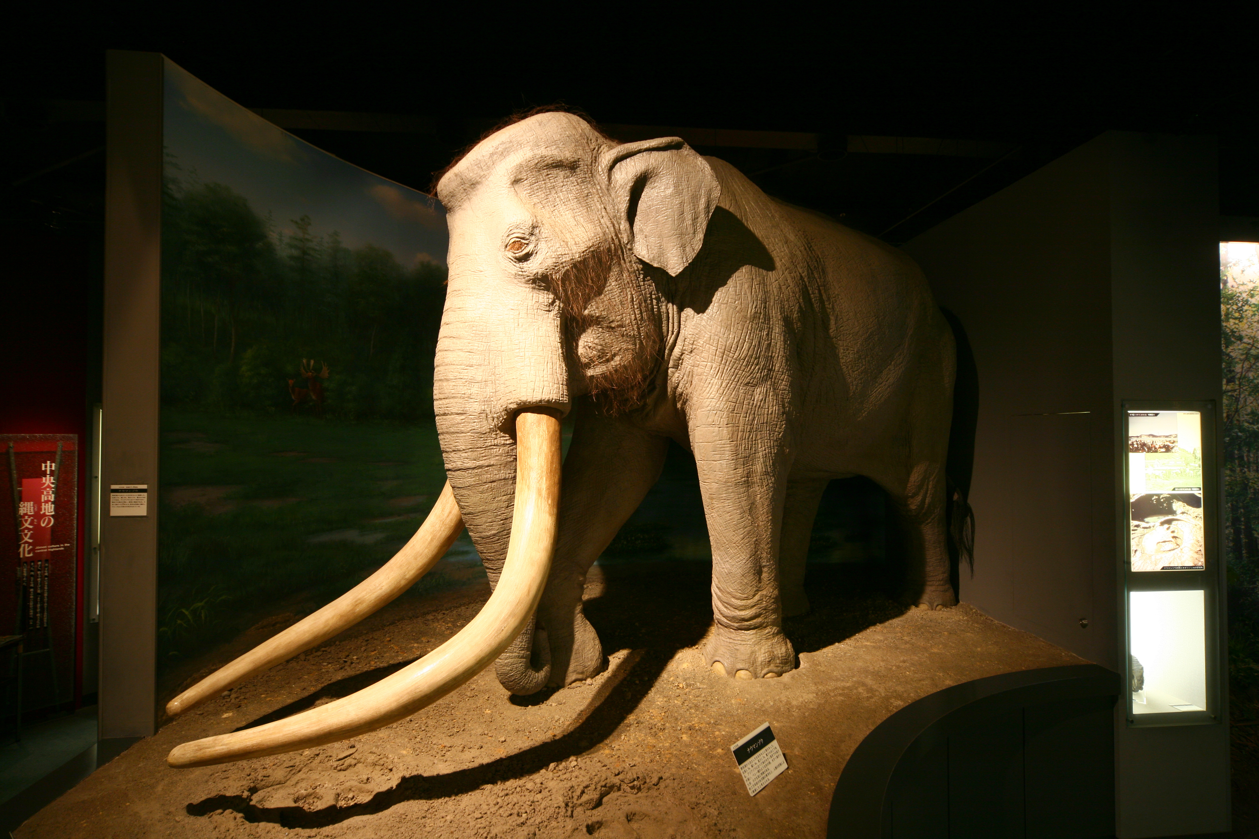 長野県立歴史館の物味湯産手形のメイン写真